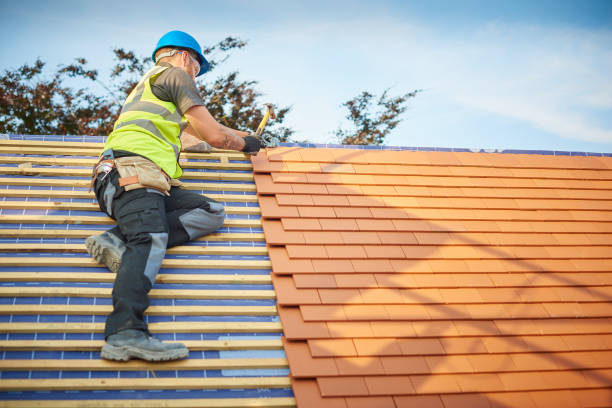 Professional Roofing servicies in Buckhead Ridge, FL